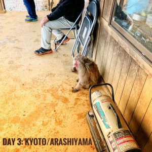 Day 3: Kyoto/Arashiyama