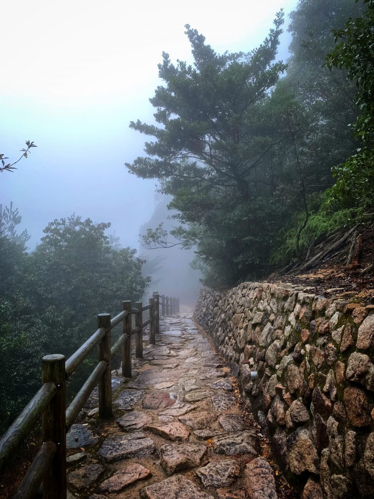 Path with fog