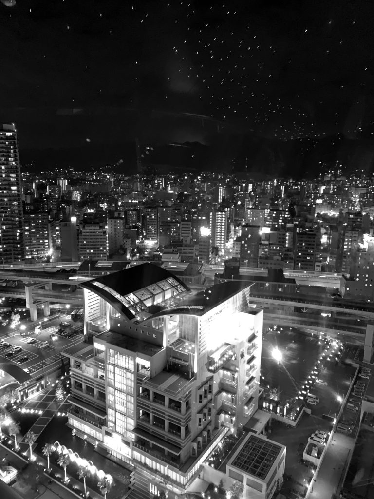 Nighttime photo from Kobe Port Tower