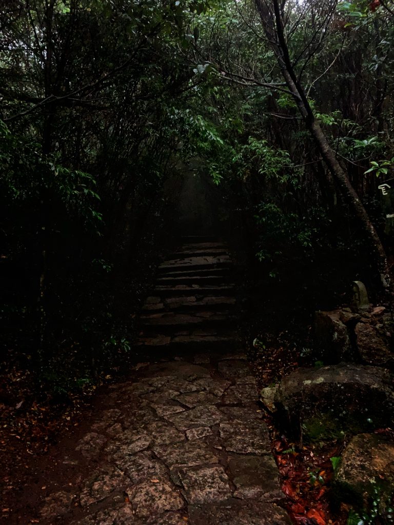 Creepy staircase paths 