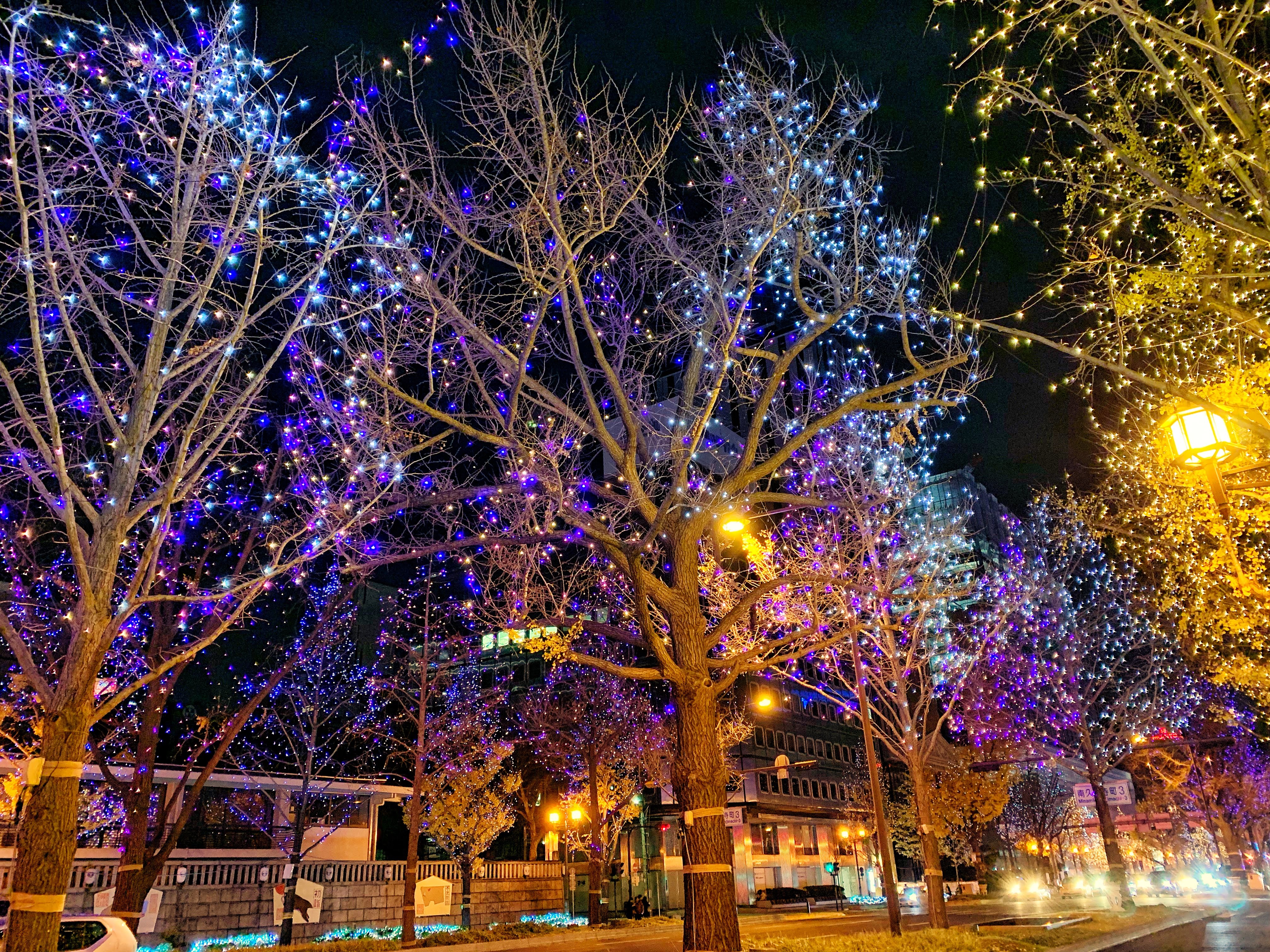 Osaka Festival Of Lights